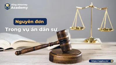 NGUYÊN ĐƠN TRONG VỤ ÁN DÂN SỰ