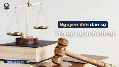 NGUYÊN ĐƠN DÂN SỰ TRONG VỤ ÁN HÌNH SỰ