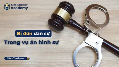 BỊ ĐƠN DÂN SỰ TRONG VỤ ÁN HÌNH SỰ