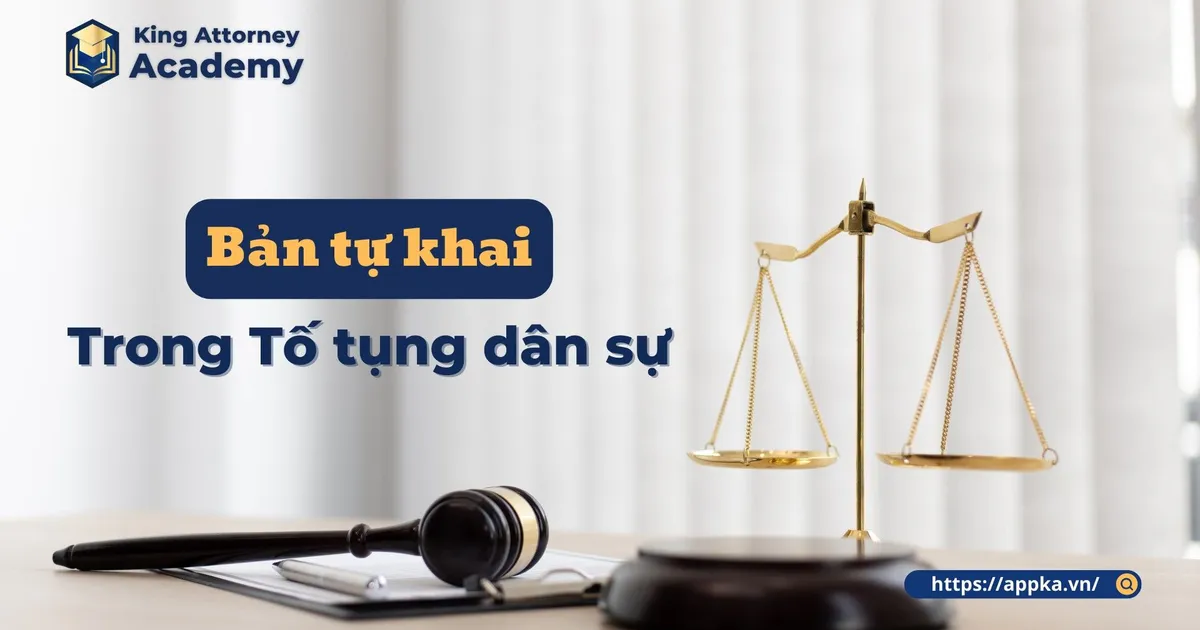 BẢN TỰ KHAI TRONG TỐ TỤNG DÂN SỰ