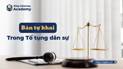 BẢN TỰ KHAI TRONG TỐ TỤNG DÂN SỰ