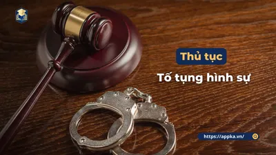 THỦ TỤC TỐ TỤNG HÌNH SỰ